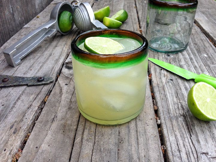 Green Your Cinco De Mayo Celebration from Ecopartytime - Margarita Madness